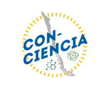 LogoSocio