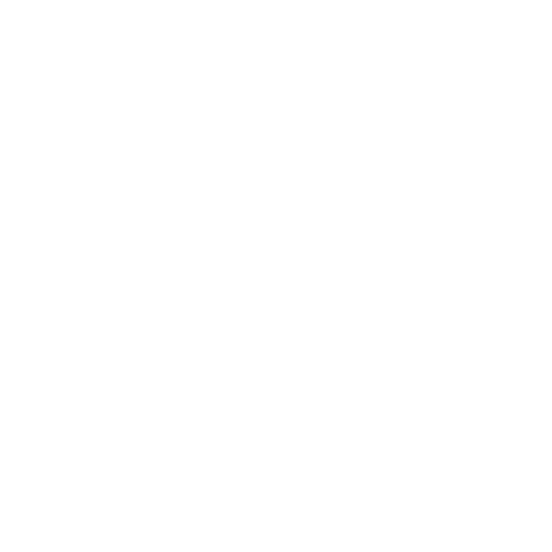 Fundación Chile