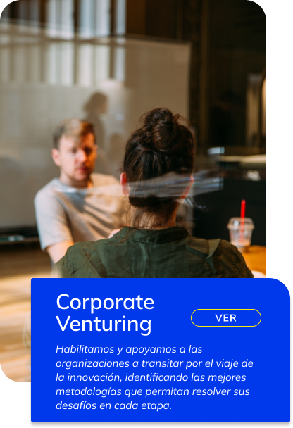 Corporate Venturing