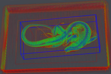  World First 3D X-Ray algorithms can automatically detect wildlife